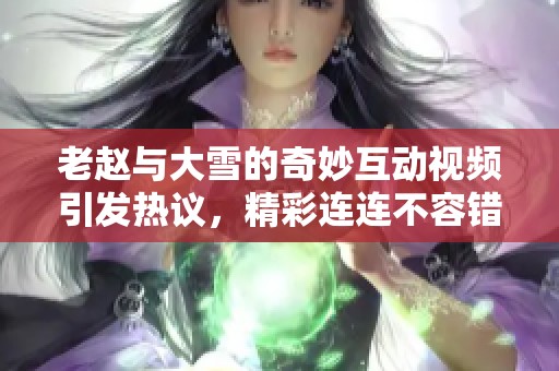 老赵与大雪的奇妙互动视频引发热议，精彩连连不容错过