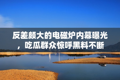 反差颇大的电磁炉内幕曝光，吃瓜群众惊呼黑料不断