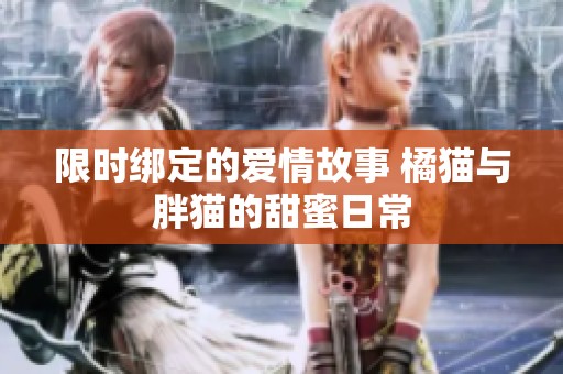 限时绑定的爱情故事 橘猫与胖猫的甜蜜日常