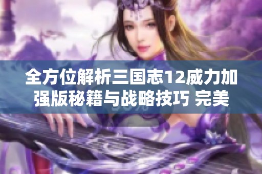 全方位解析三国志12威力加强版秘籍与战略技巧 完美提升游戏体验与胜率指南