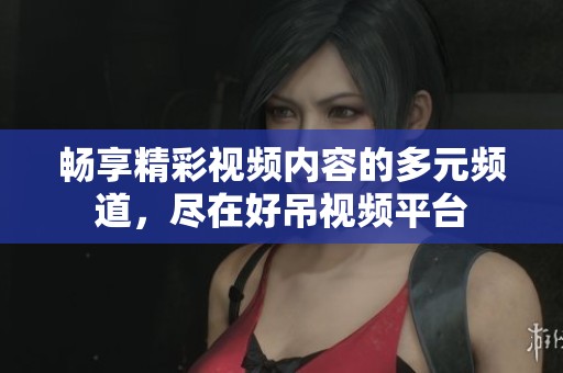 畅享精彩视频内容的多元频道，尽在好吊视频平台
