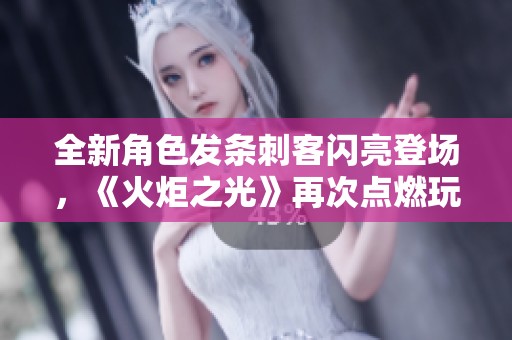 全新角色发条刺客闪亮登场，《火炬之光》再次点燃玩家热情与激情体验