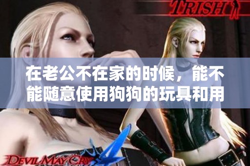 在老公不在家的时候，能不能随意使用狗狗的玩具和用品呢