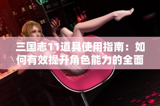 三国志11道具使用指南：如何有效提升角色能力的全面步骤与注意事项