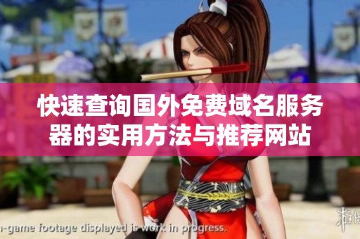 快速查询国外免费域名服务器的实用方法与推荐网站