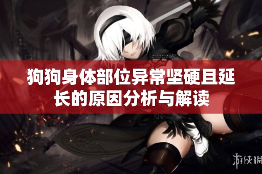 狗狗身体部位异常坚硬且延长的原因分析与解读