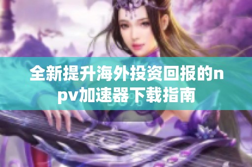 全新提升海外投资回报的npv加速器下载指南