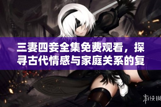 三妻四妾全集免费观看，探寻古代情感与家庭关系的复杂纠葛
