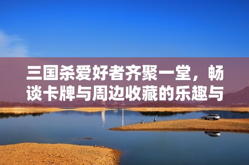 三国杀爱好者齐聚一堂，畅谈卡牌与周边收藏的乐趣与经验分享