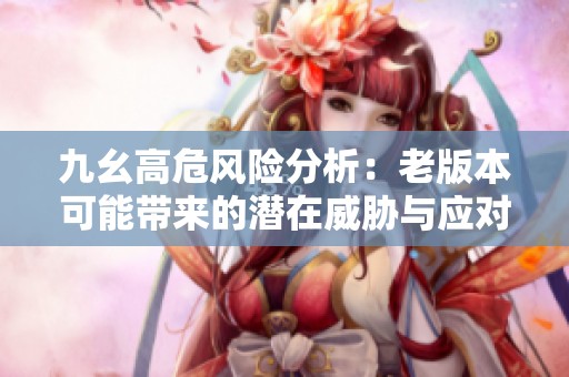 九幺高危风险分析：老版本可能带来的潜在威胁与应对策略