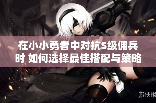 在小小勇者中对抗S级佣兵时 如何选择最佳搭配与策略提升胜率