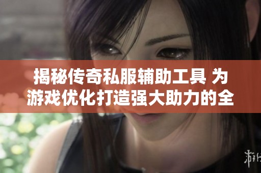 揭秘传奇私服辅助工具 为游戏优化打造强大助力的全新攻略分享