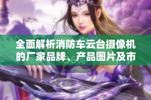 全面解析消防车云台摄像机的厂家品牌、产品图片及市场热点信息
