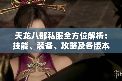 天龙八部私服全方位解析：技能、装备、攻略及各版本详解指南