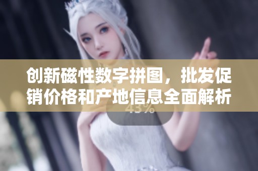 创新磁性数字拼图，批发促销价格和产地信息全面解析